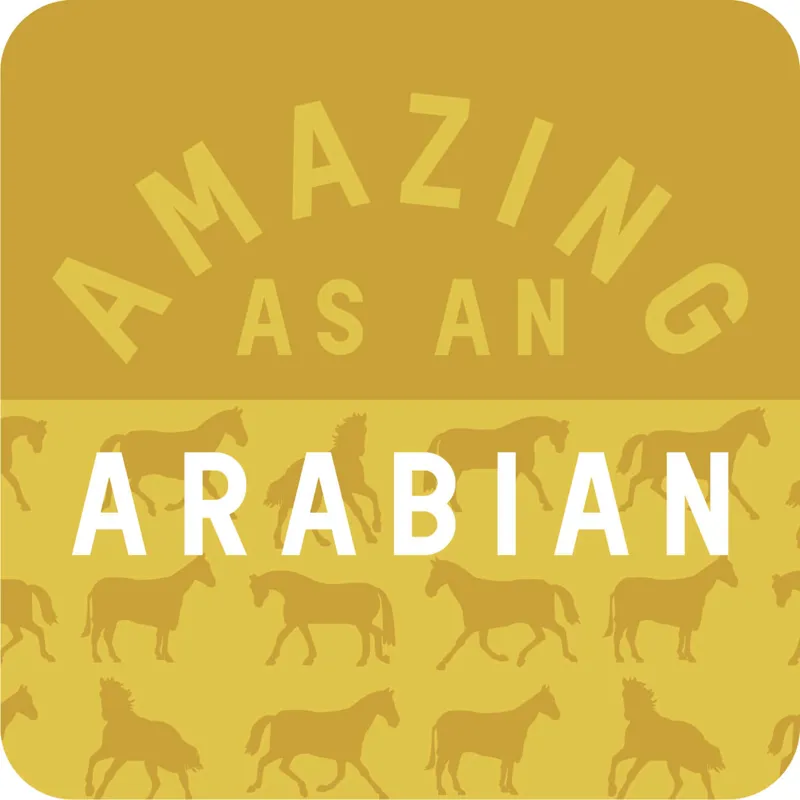 Gubblecote Amazing as an Arabian Coaster